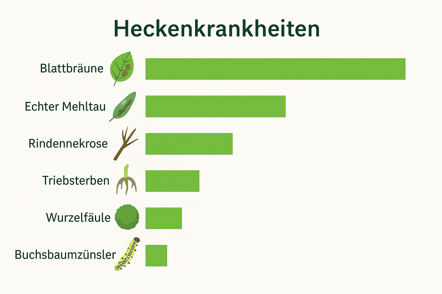 heckenkrankheiten